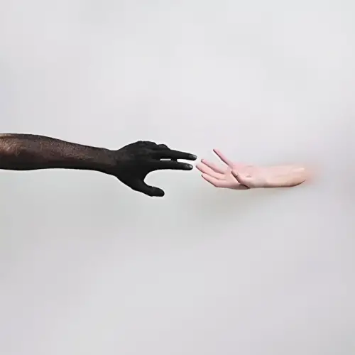 Limbs (USA-2) : Admission